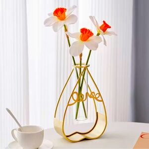 Hydroponic Vase for wall, table